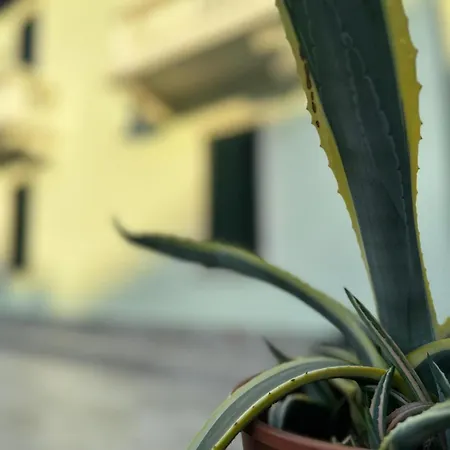 Patrizia Con Parcheggio Privato Como