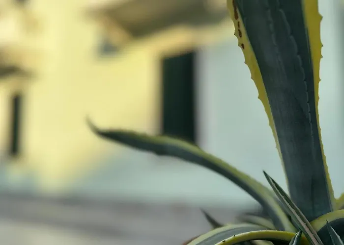 Patrizia Con Parcheggio Privato Όπως