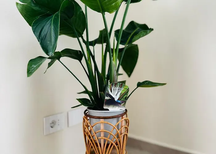 Patrizia Con Parcheggio Privato 3* Όπως