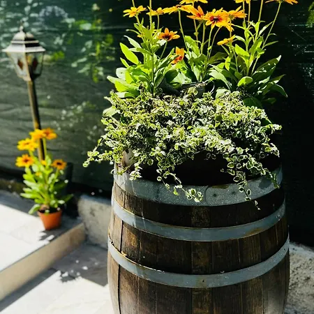 Patrizia Con Parcheggio Privato