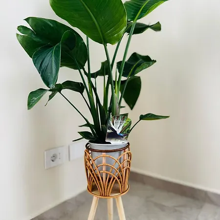 Patrizia Con Parcheggio Privato 3* コモ